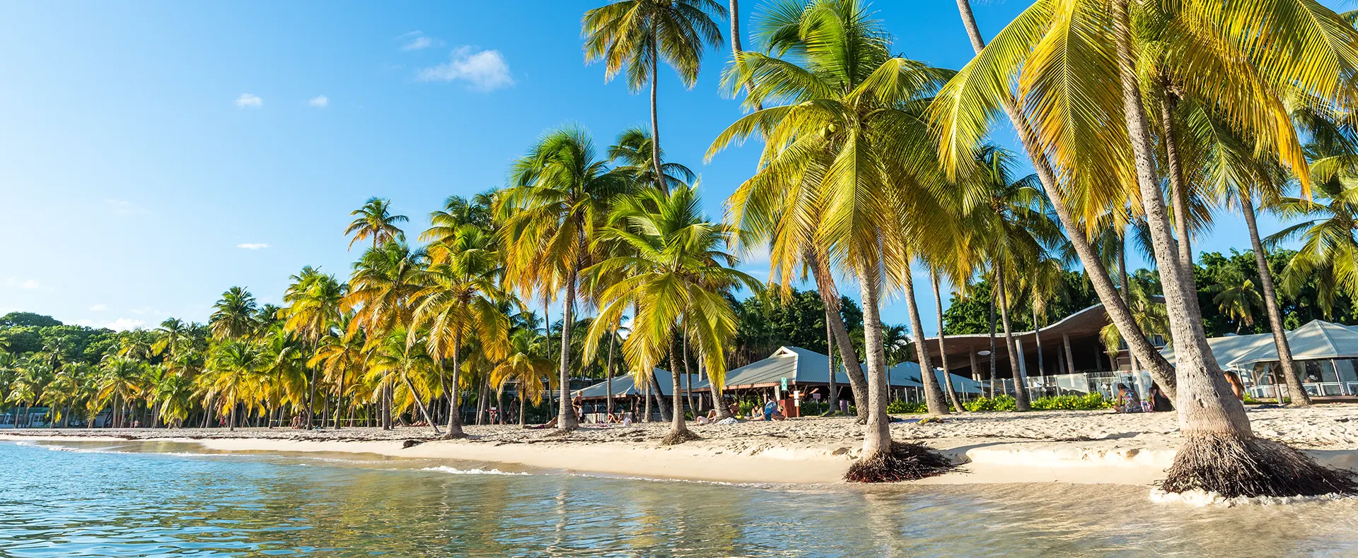 LE VOYAGE EN GUADELOUPE EN UN COUP D'ŒIL