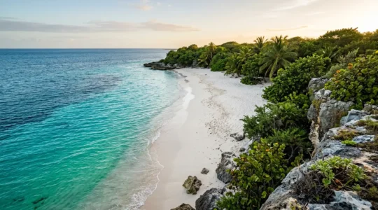 Crique isolée de Grande-Terre en Guadeloupe avec eau turquoise et végétation tropicale préservée