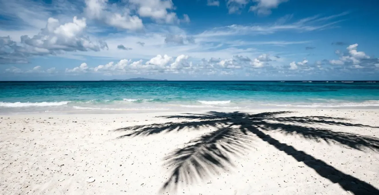 Plage des Caraïbes en plein soleil avec contraste marqué entre sable blanc éclatant et ombres de palmiers