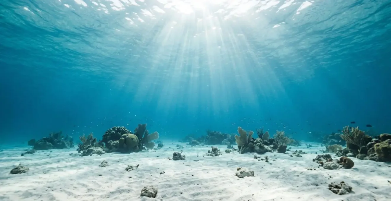 Scène sous-marine tropicale avec poissons colorés dans une eau cristalline peu profonde