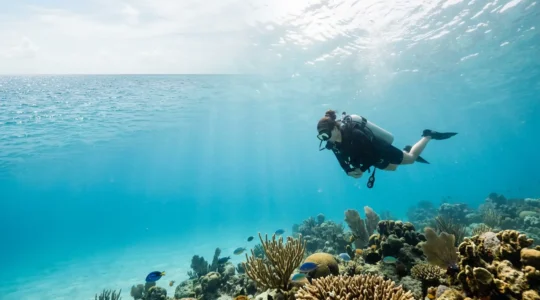 Plongeur débutant équipé évoluant dans les eaux cristallines des Antilles avec récif corallien
