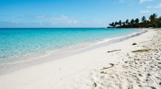 Plage de sable blanc immaculé de Marie-Galante sous le soleil caribéen avec eau turquoise cristalline
